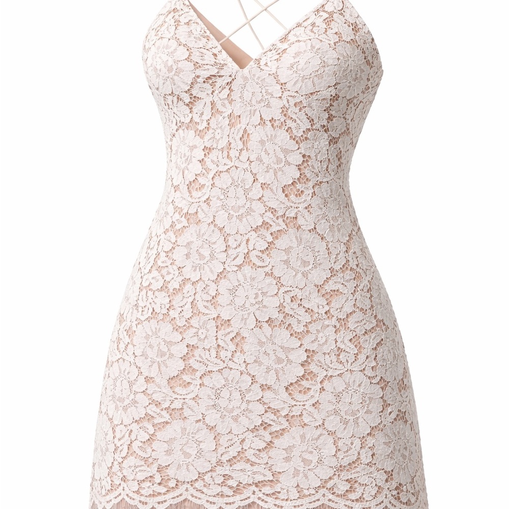 Lovely Day Blush Pink Lace Mini Dress